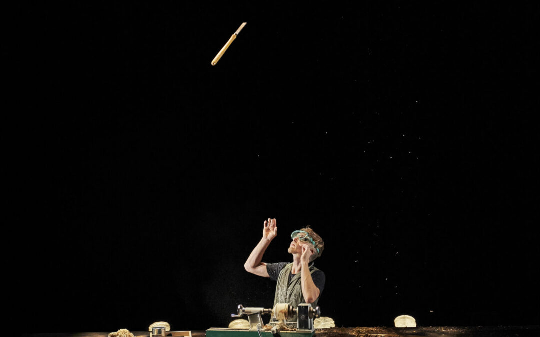 Sawdust Symphony