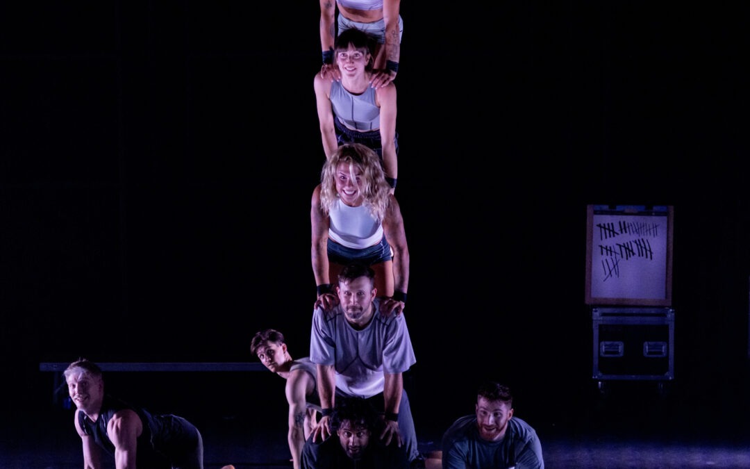 Gravity & Other Myths