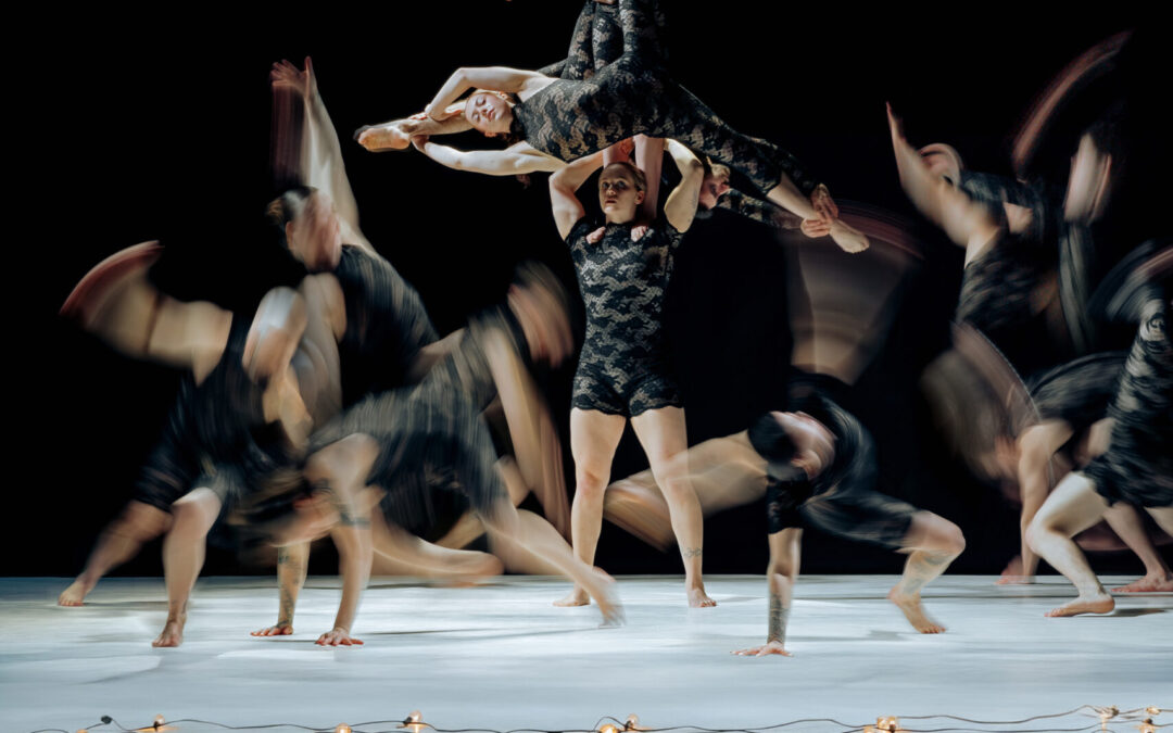 To See The Stars Again